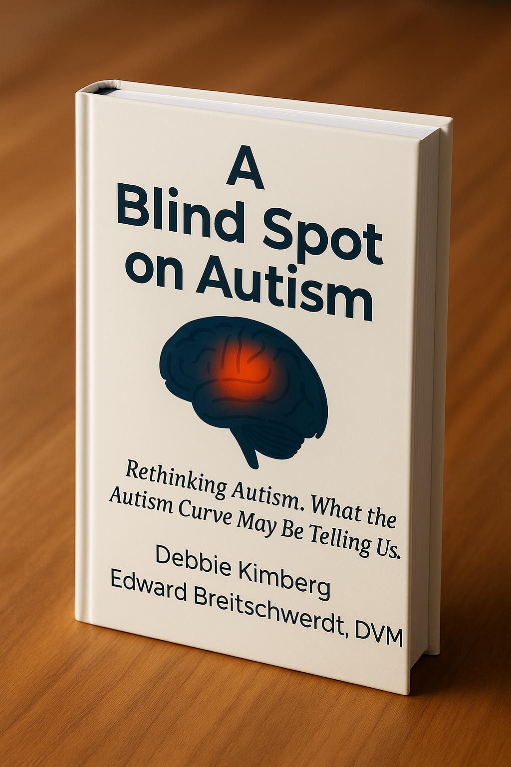 A Blind Spot on Autism Book